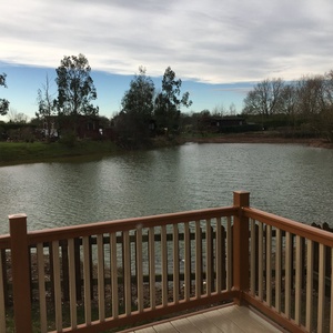 Pond view from balcony